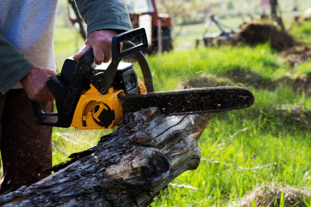 Best Aeration Services  in Parlier, CA